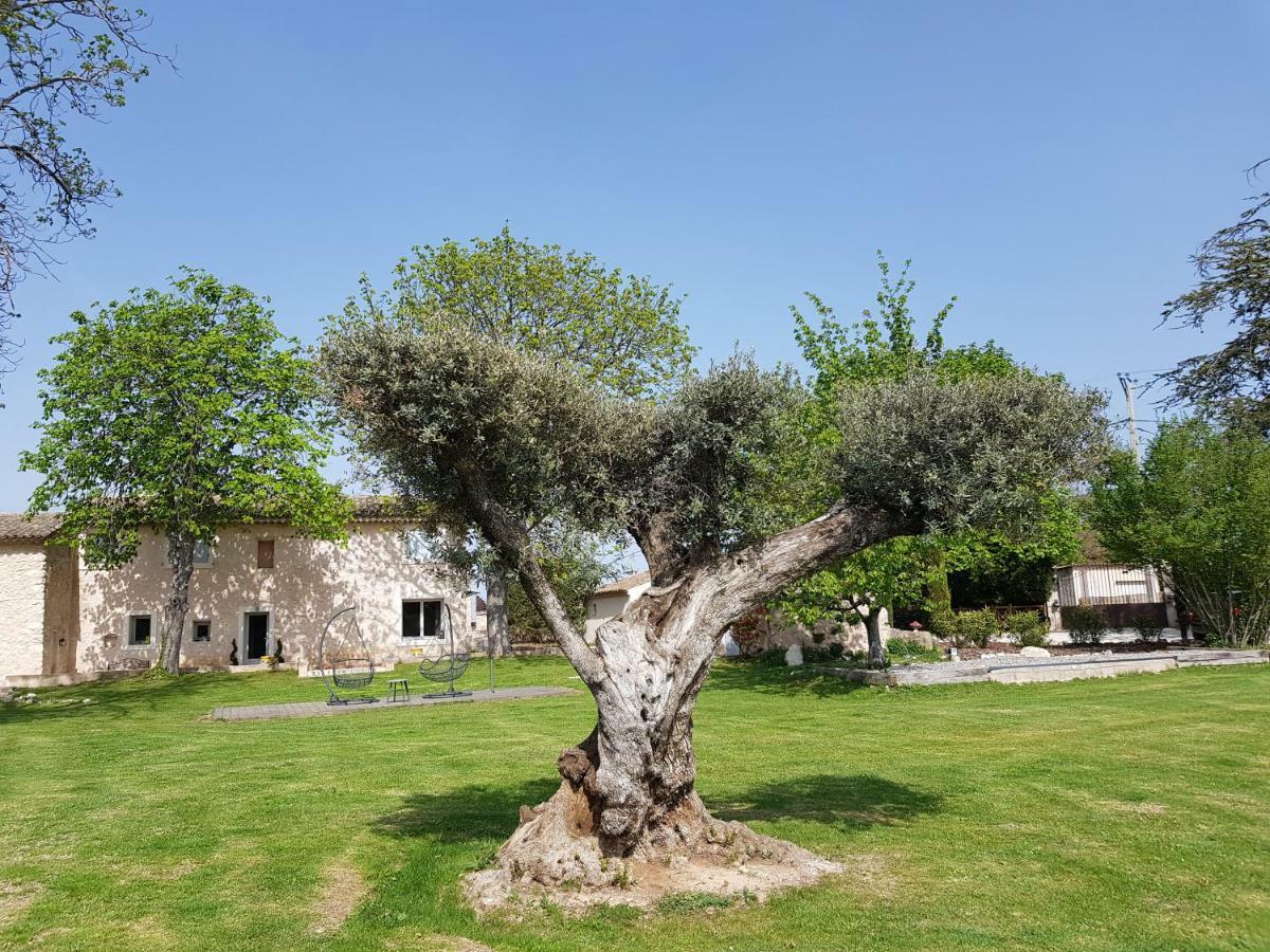 Le Mas De La Calade Bed and Breakfast Αιξ-αν-Προβάνς Εξωτερικό φωτογραφία
